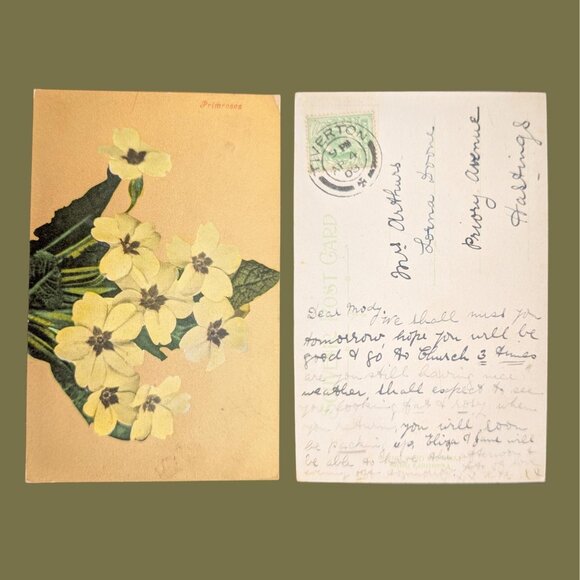 Vintage Postmarked 1909 Postcard Art Nouveau Yellow Primrose - Picture 1 of 2